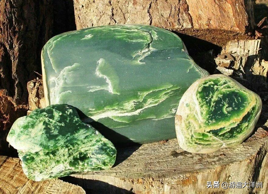 kiaora新西兰,kiaora