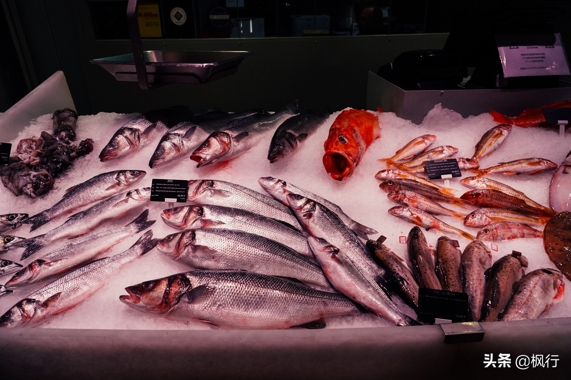 里昂足球,里昂足球队