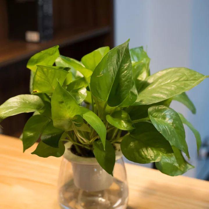 高空自习室深圳,深圳高空自习室