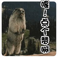 手机流量不够用怎样办流量划算些,手机流量如何设置才节省流量