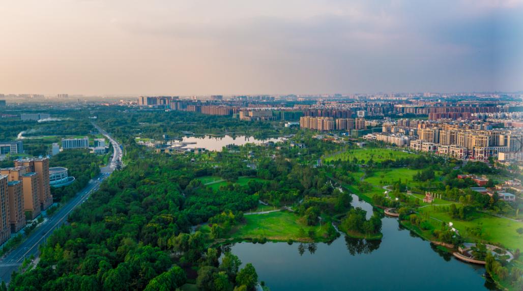 珍稀鸟类现身成都,在双流春游看花