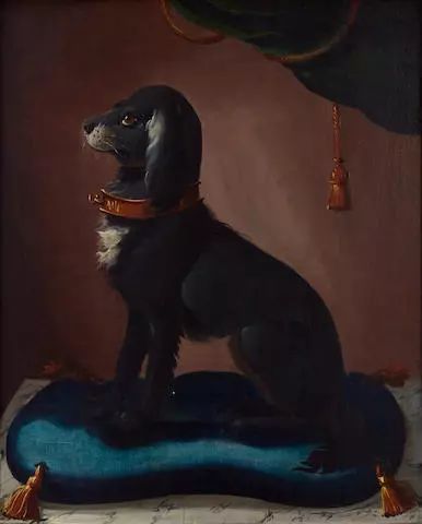 她与梦露水火不容，还是个“专业”寡妇？碟中谍6里也有她