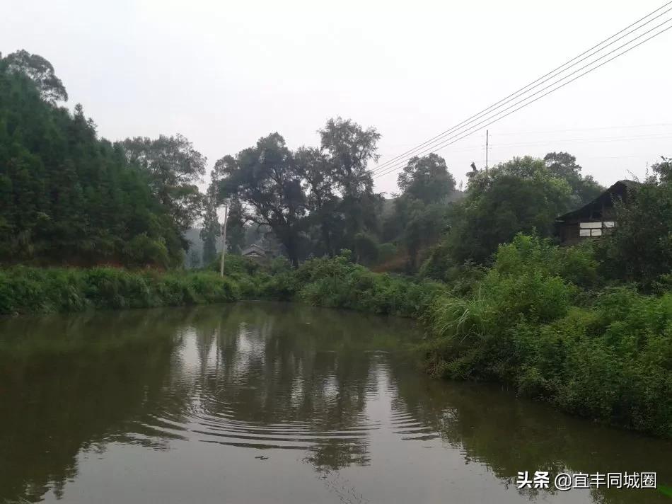 这些失传已久的童谣你还记得吗,这些即将消失的老行当你还记得吗