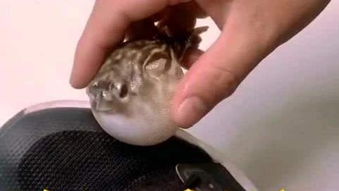 动漫里那些令人捧腹的沙雕*器武**!坂本大佬:你想用哪个*器武**装13?