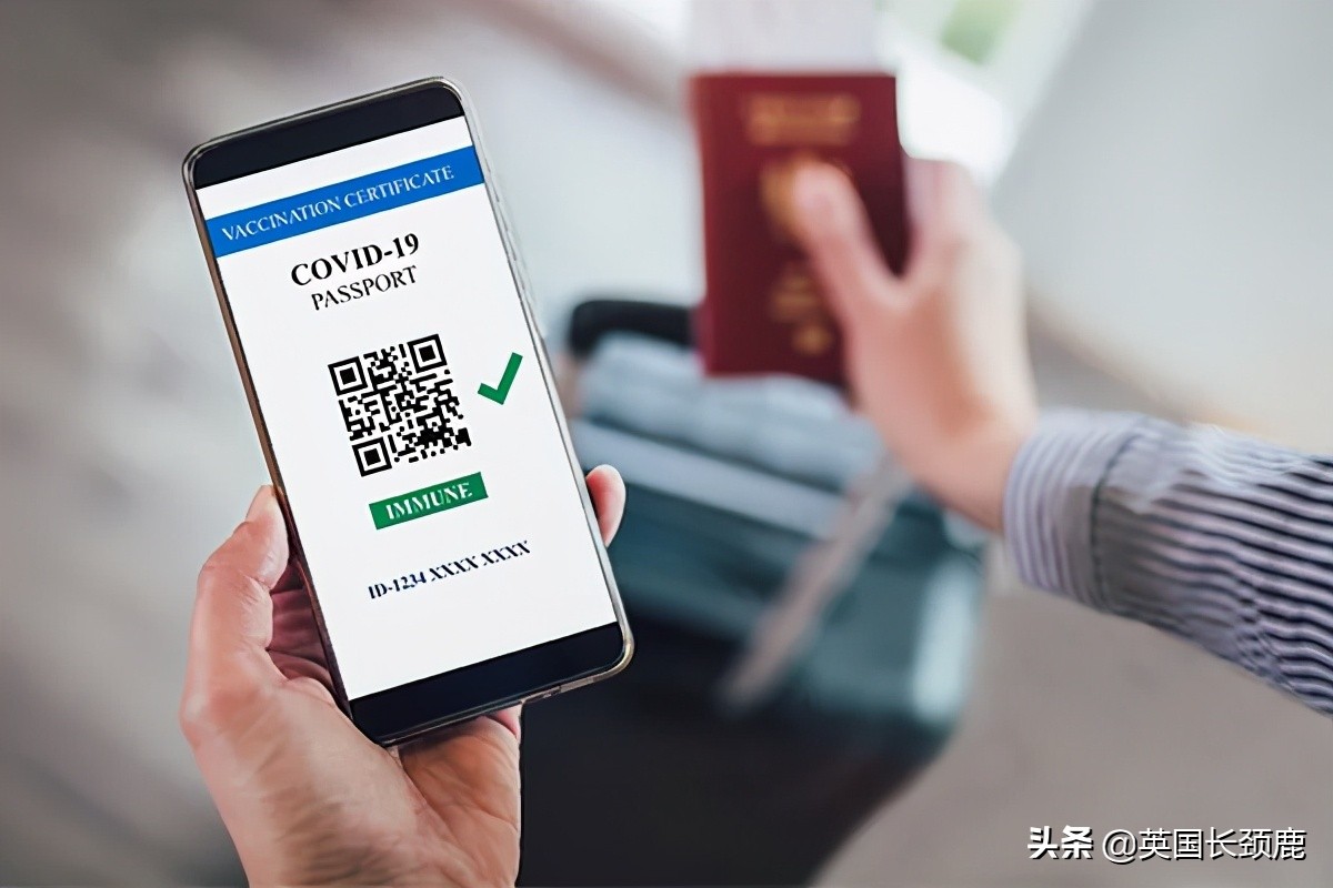 鲍里斯对英国的态度,英国鲍里斯现在怎样了