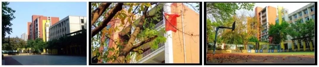 重庆一中各校师资,重庆一中各校区班型