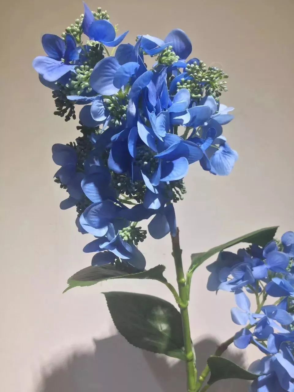 你难道还傻乎乎的认为鲜花比仿真花贵吗？