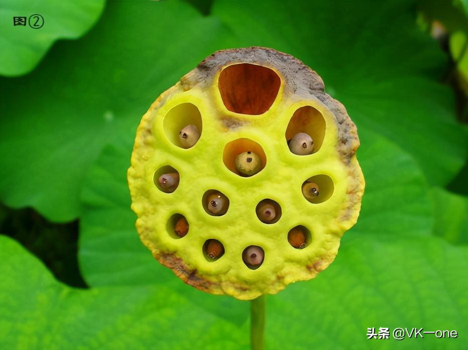 农村80后才看得懂的图和知道的经历