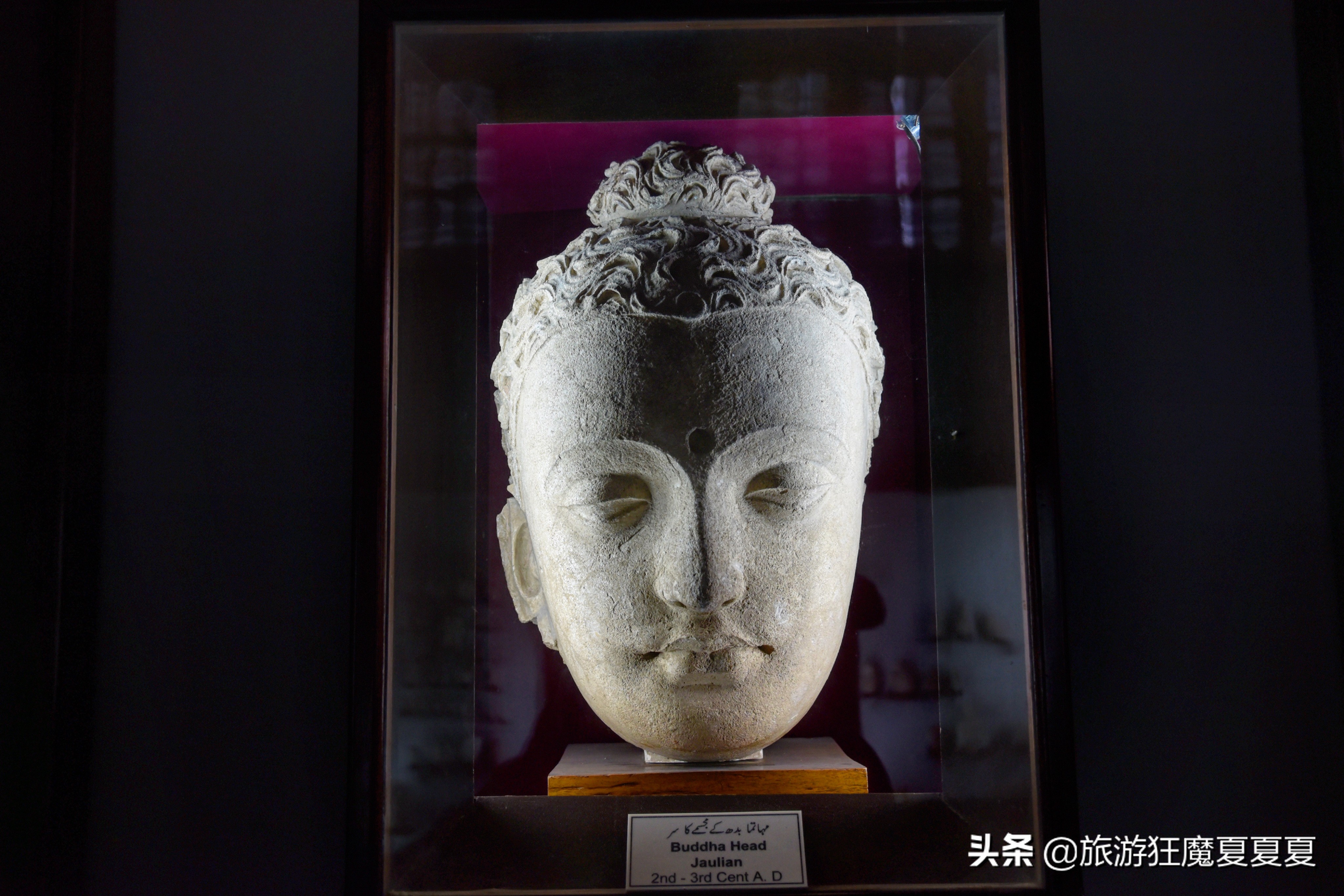 玄奘法师大雁塔采访,玄奘寺探访