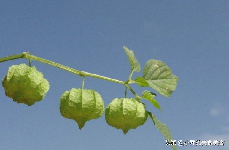 <html>
<head><title>502BadGateway</title></head>
<body>
<center><h1>502BadGateway</h1></center>
<hr><center>nginx</center>
</body>
</html>
<!--apaddingtodisableMSIEandChromefriendlyerrorpage-->
<!--apaddingtodisableMSIEandChromefriendlyerrorpage-->
<!--apaddingtodisableMSIEandChromefriendlyerrorpage-->
<!--apaddingtodisableMSIEandChromefriendlyerrorpage-->
<!--apaddingtodisableMSIEandChromefriendlyerrorpage-->
<!--apaddingtodisableMSIEandChromefriendlyerrorpage-->
