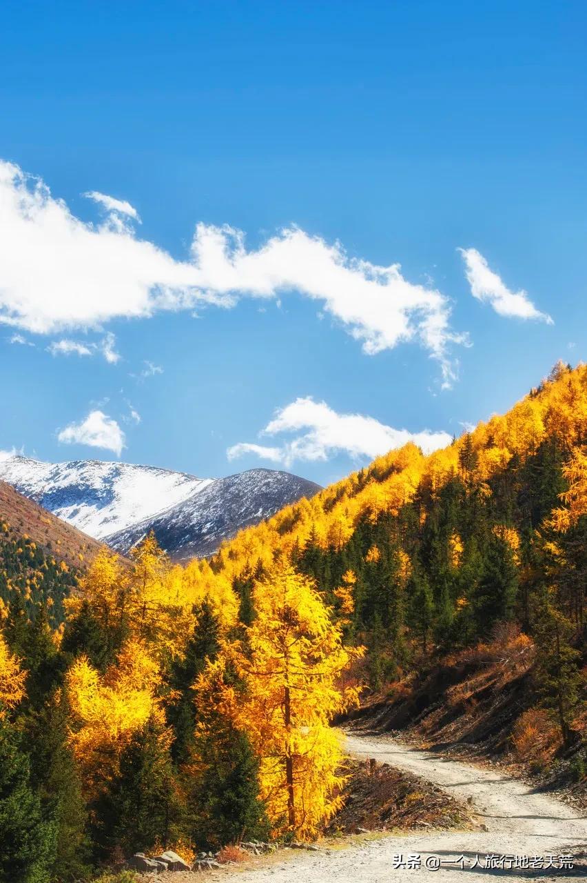 忽然想去自驾游了,想去川西看星空