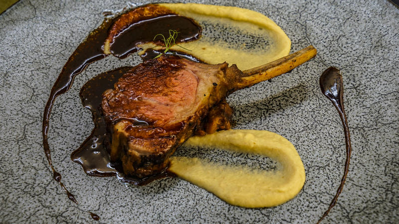 从天空到海洋到大地的视频,从天空到海底绘本