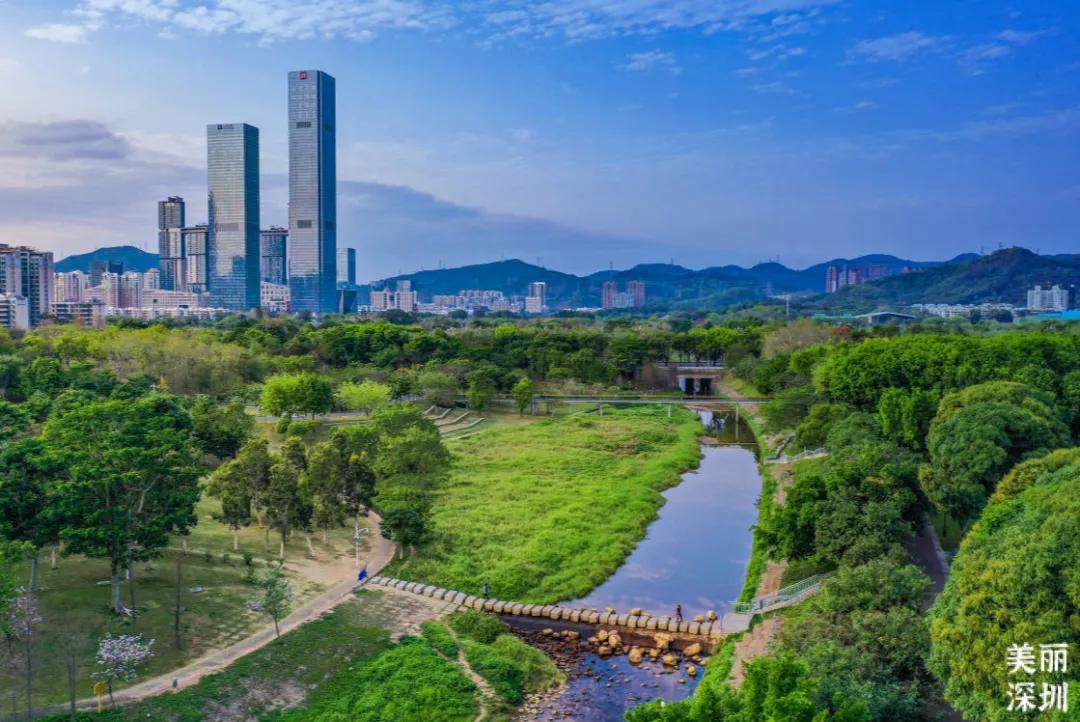 理论中心组进行集体学习,理论学习中心组集体学习计划