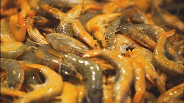 青岛人气最旺的老店,青岛市区十大必吃饭店