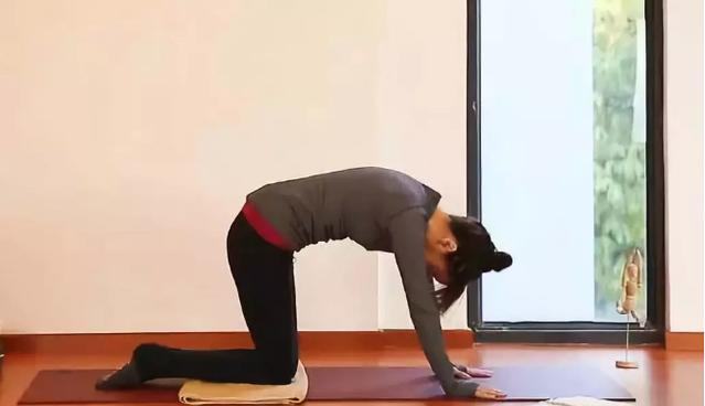 产后耻骨疼用什么瑜伽体式,产后半年修复瑜伽体式