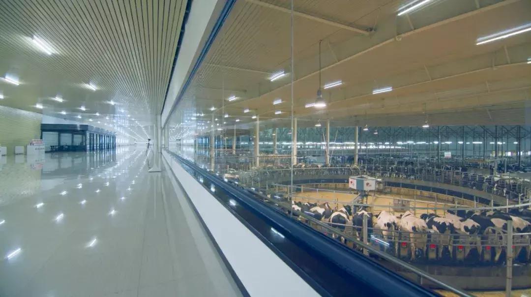 代购靠谱还是天猫靠谱,代购便宜还是网购便宜