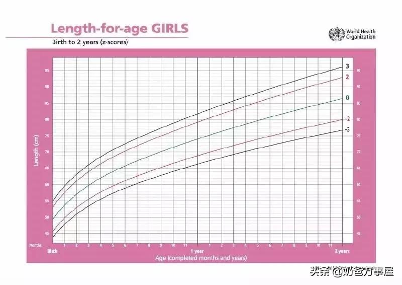 孩子肥胖营养师,营养师如何给孩子补充营养