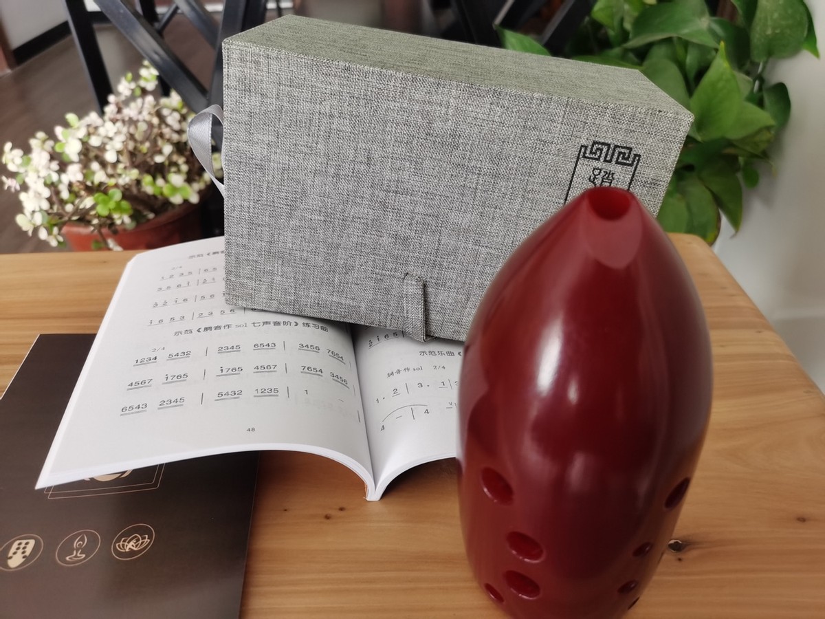 选对乐器的重要性外国视频,选对乐器