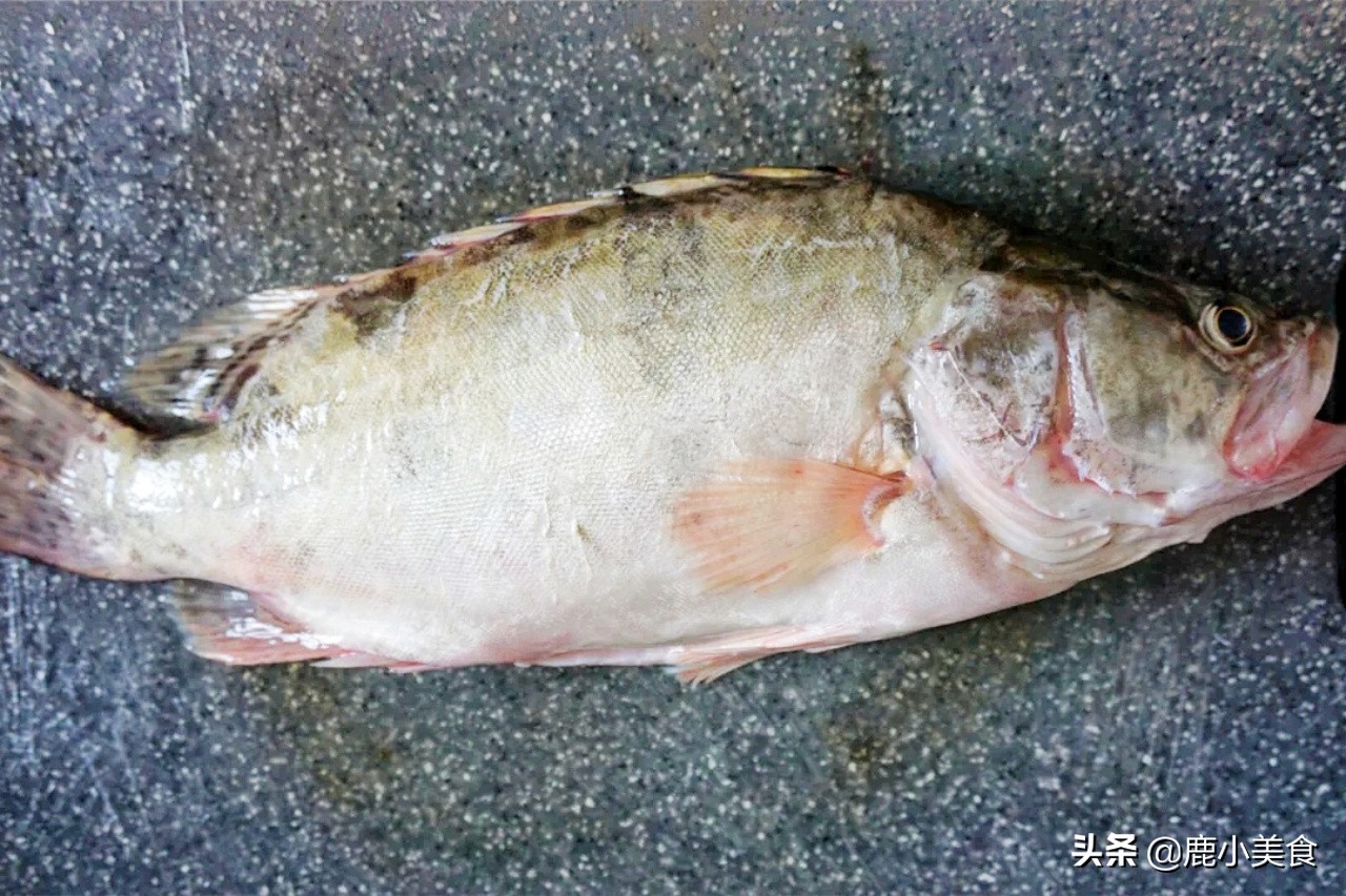 春季养生要吃鱼8种鱼最肥美,春季不可错过的五大时令鱼鲜美味