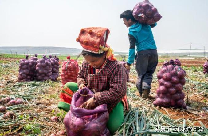 拼多多低价产品的意义,拼多多买的洋葱怎么样