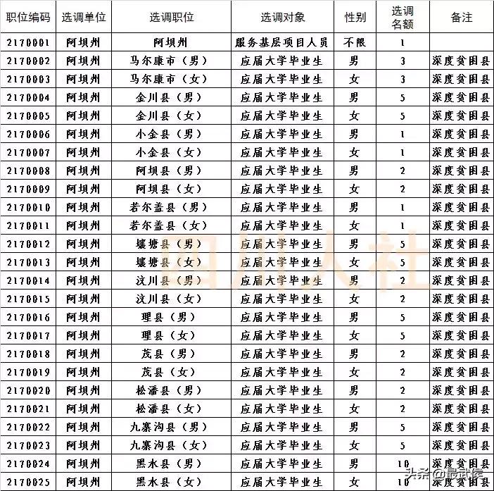 四川选调生2024选调公告官网,四川选调生2024选调公告名额