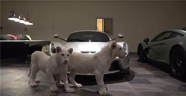 中东土豪去欧洲,中东土豪去秘鲁圣地