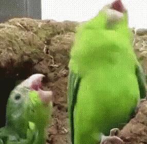 麻疹水痘最快治疗方法,麻疹风疹水痘