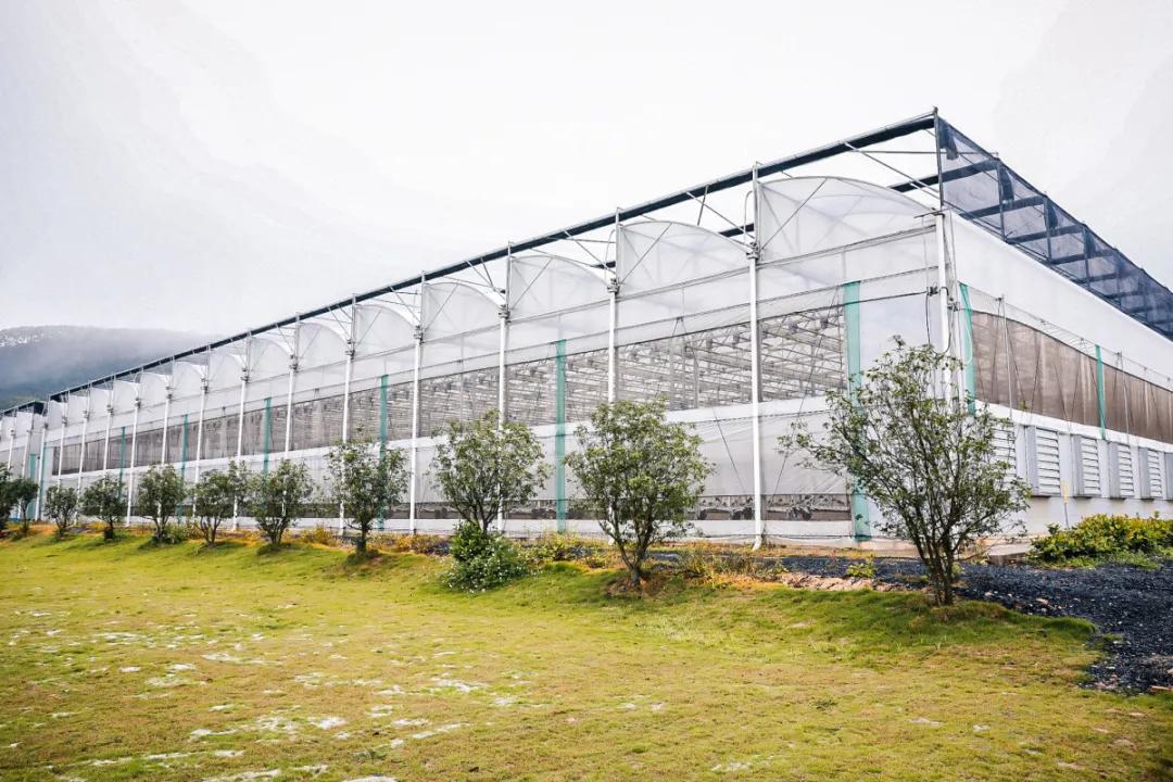 在大山深处幽静绝美的村落,深藏大山中的村落