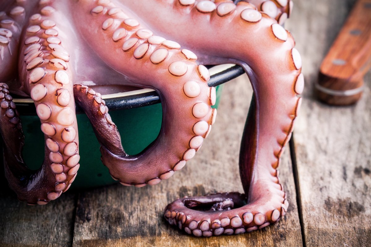 <html>
<head><title>502BadGateway</title></head>
<body>
<center><h1>502BadGateway</h1></center>
<hr><center>nginx</center>
</body>
</html>
<!--apaddingtodisableMSIEandChromefriendlyerrorpage-->
<!--apaddingtodisableMSIEandChromefriendlyerrorpage-->
<!--apaddingtodisableMSIEandChromefriendlyerrorpage-->
<!--apaddingtodisableMSIEandChromefriendlyerrorpage-->
<!--apaddingtodisableMSIEandChromefriendlyerrorpage-->
<!--apaddingtodisableMSIEandChromefriendlyerrorpage-->
