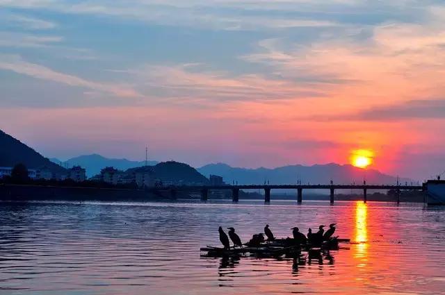 央视挖出来浙江冷门小城，小小鸭头都是世间绝味，人均100+住别墅