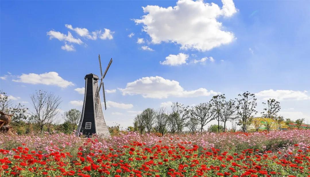 灌云有什么游玩的景点吗,灌云旅游景点推荐一日游