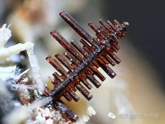 鬼斧神工地质遗珍视频,鬼斧神工的地质