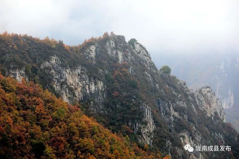 我叫成县，这是我2019年的自拍照~