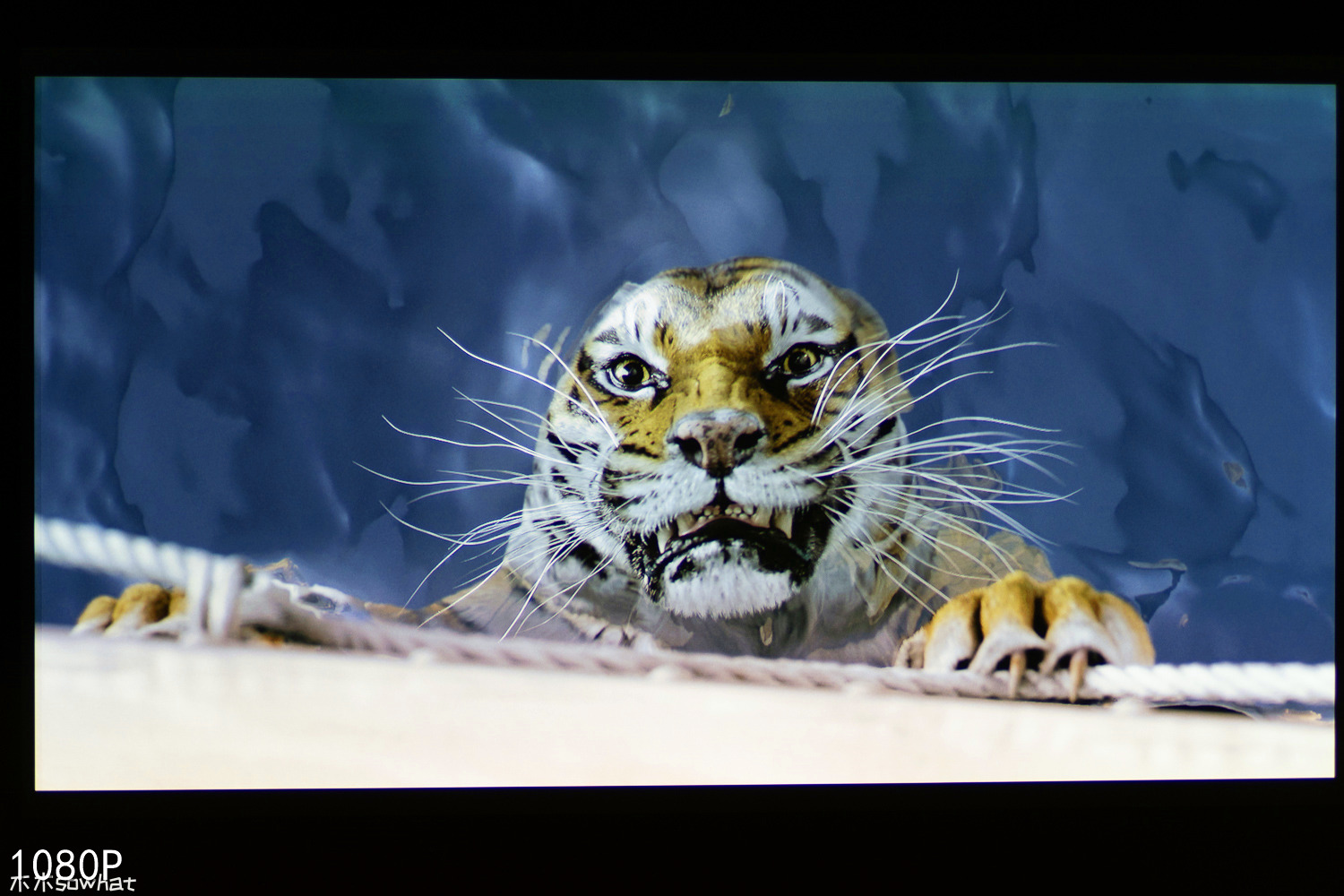 爱普生ch-tw7000对比明基tk800m,明基tk800m4k投射150寸