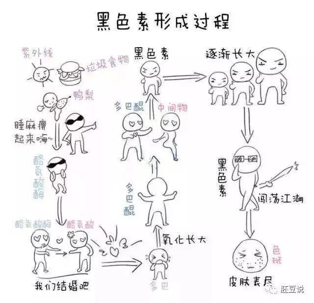 知否知否三庭五眼,知否一箭三雕