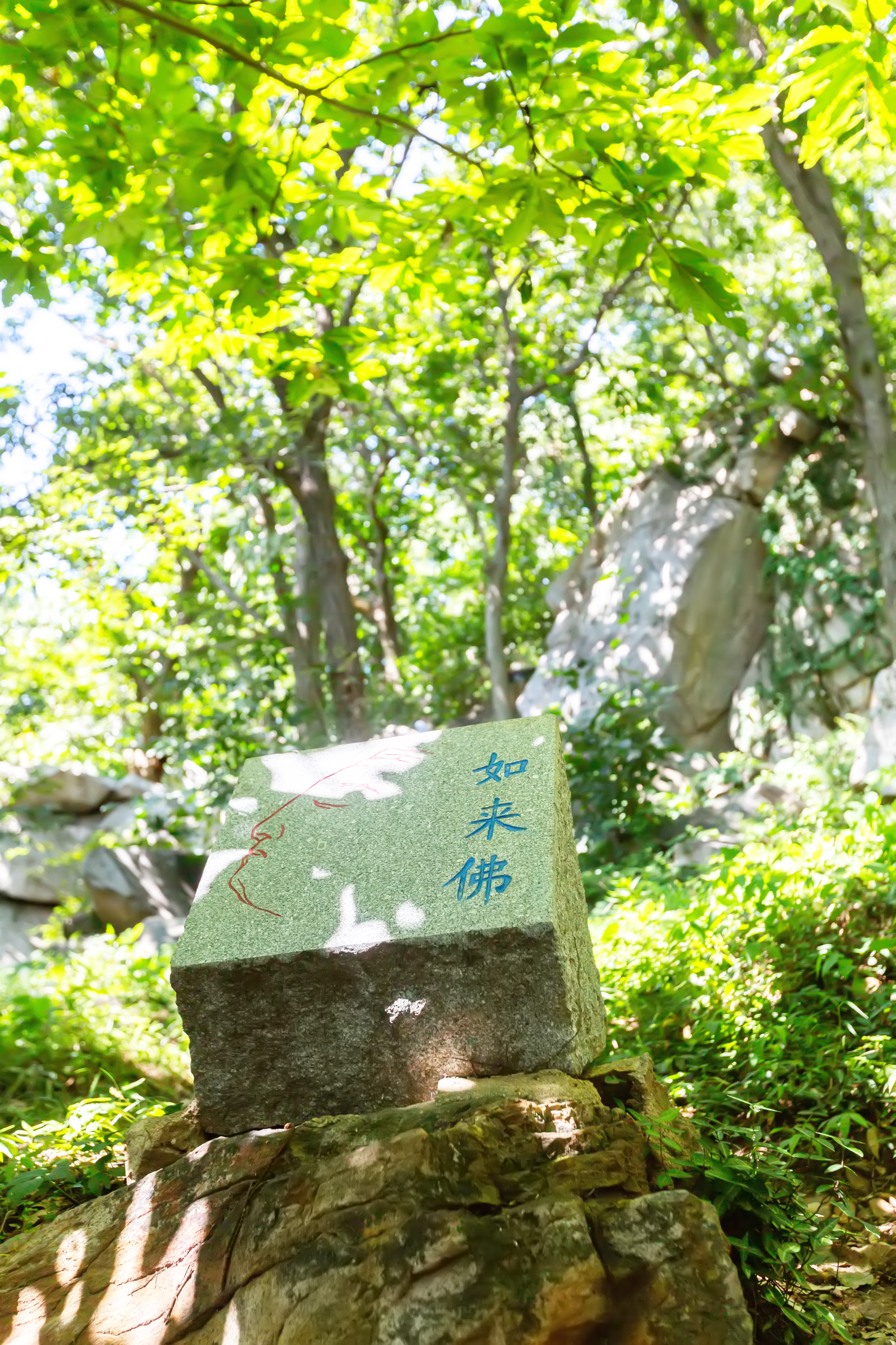 花果山景区的游玩攻略,情侣花果山旅游攻略