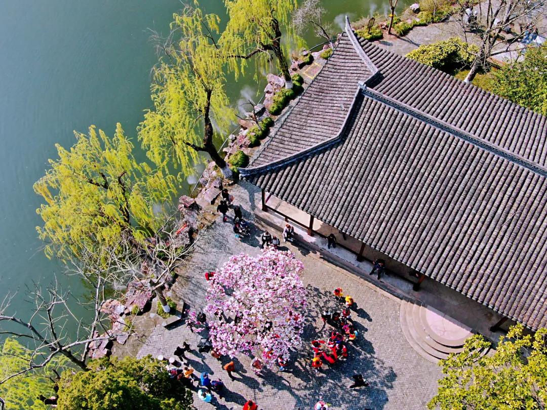 南通已经入春了吗,今年南通什么时候入春