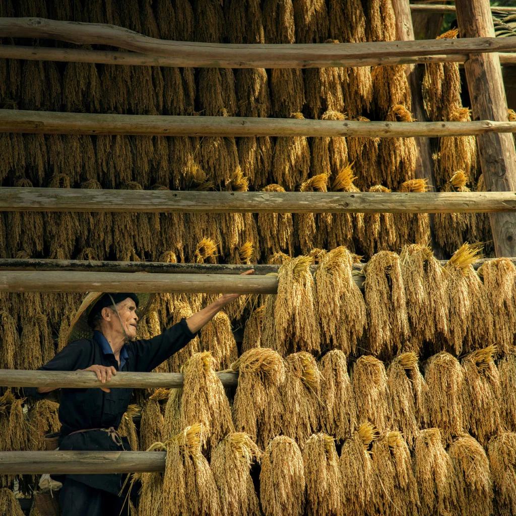 贵州黄岗侗寨优美视频,黄岗侗寨全景视频