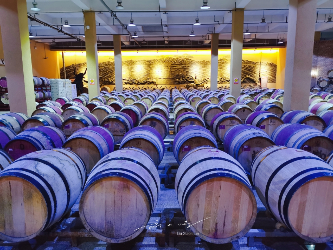 在国内知名度最高的葡萄酒,中国葡萄酒最大的特点在哪里