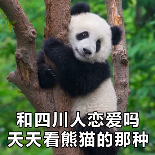 各个地区表情包排名,各省人最爱发的表情包