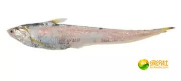 舟山4月份海鲜攻略,舟山海鲜代加工攻略