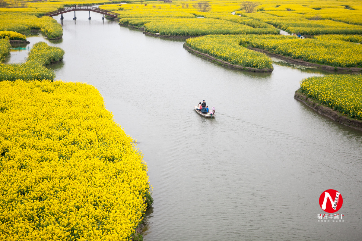 兴化三日游自驾游路线,去兴化看油菜花海攻略