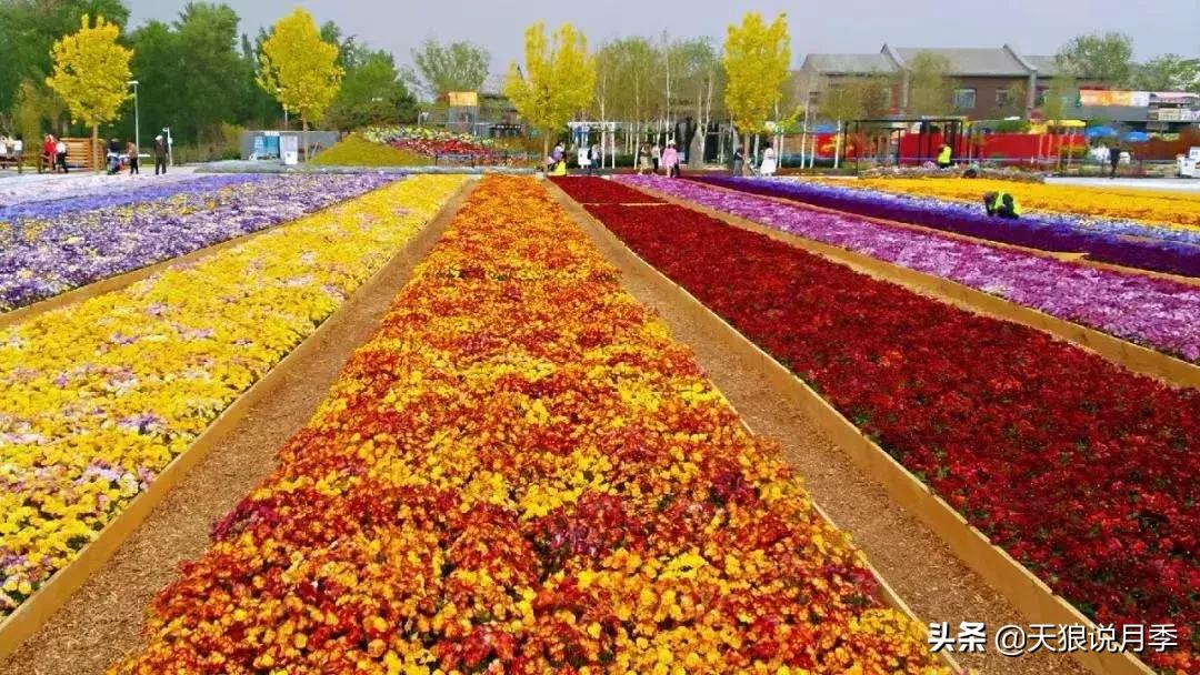 有人去过世园会吗,去过世园会好不好玩