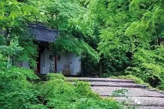 绍兴嵊州最美古村,绍兴最美古村落自驾游线路