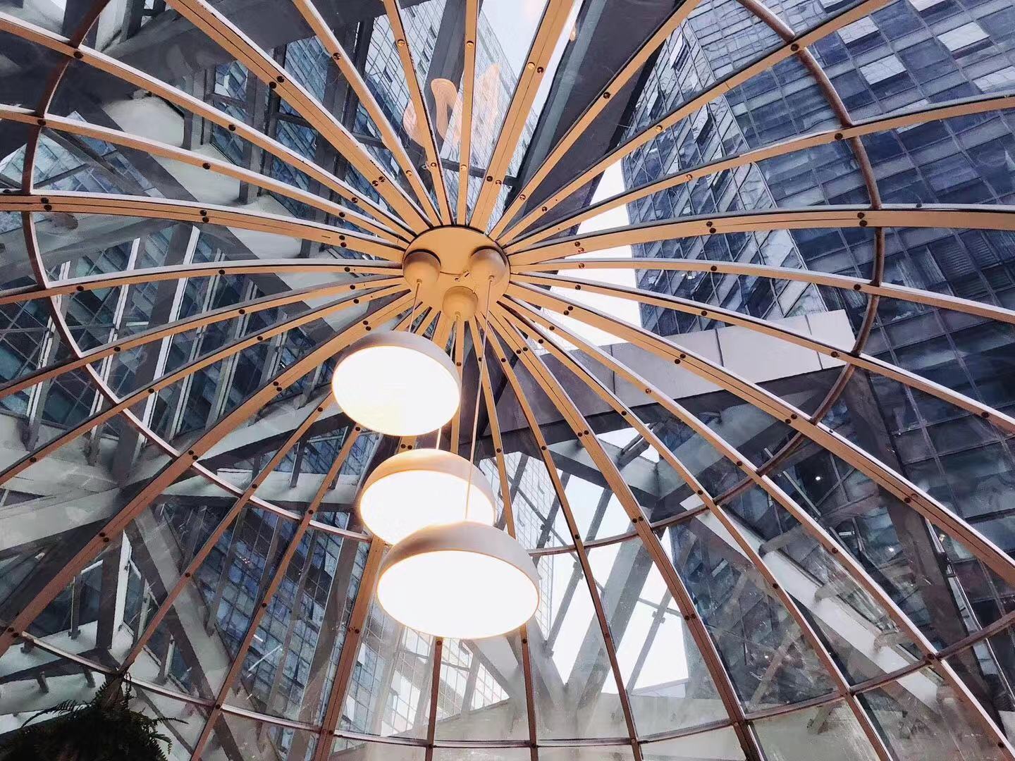 theoasis日照,theoasistavern绿洲