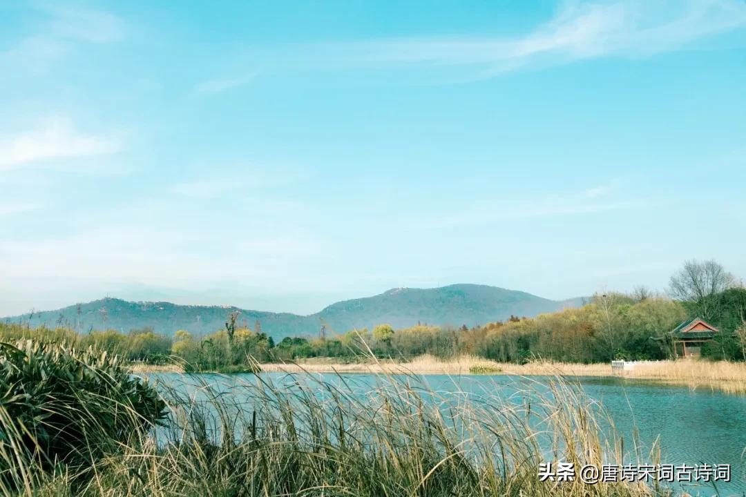 100句惊艳的名句,经典诗词名句大全100首