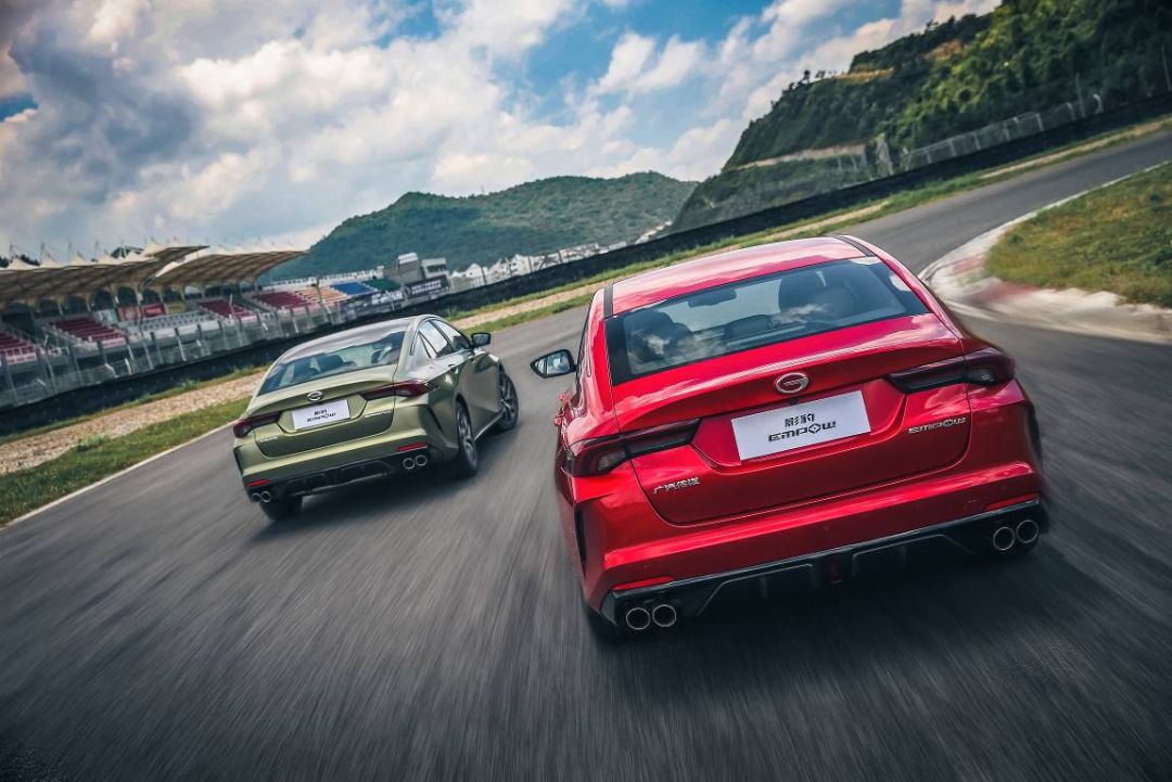 苏神影豹,掌握流量密码可以干什么