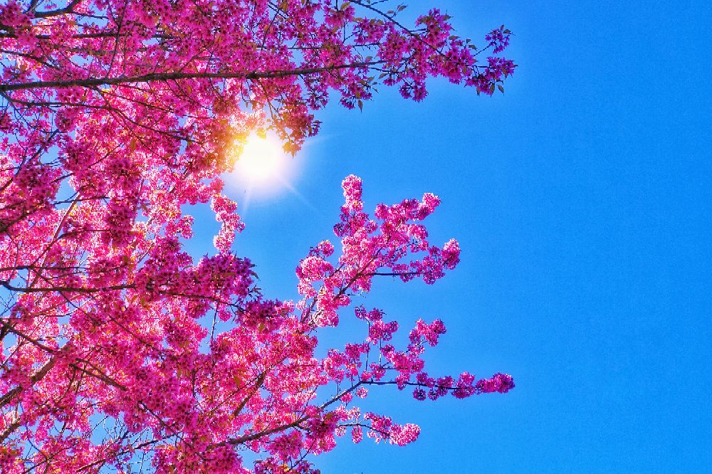 索尼a6000可以录像吗,索尼6000有自动跟焦吗