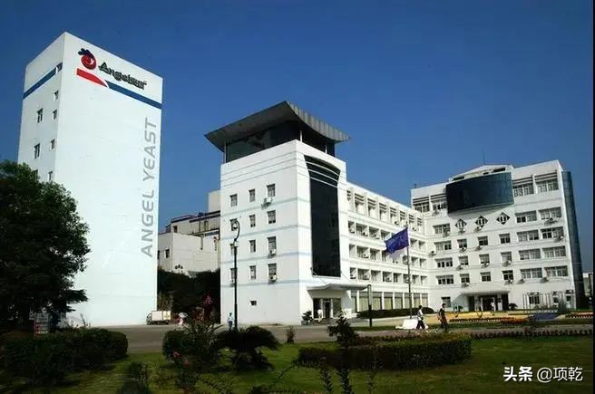 安琪酵母打假,安琪酵母国内遇到行业压力