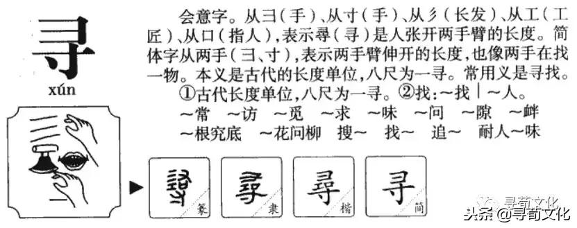 关于汉字姓氏的知识,姓氏文化汉字展